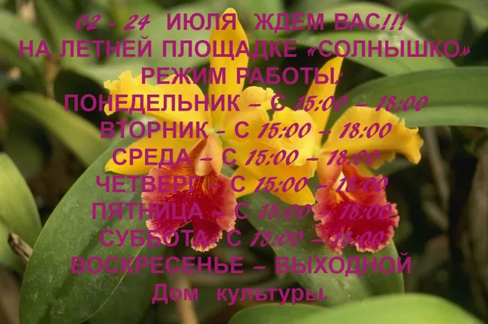 афиша пл.