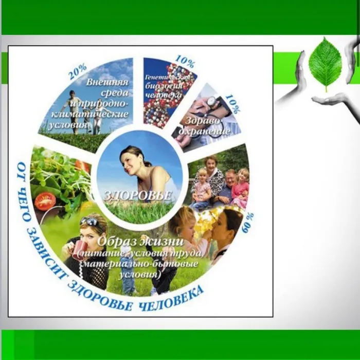 207845051_498881038058971_2157192334875281232_n