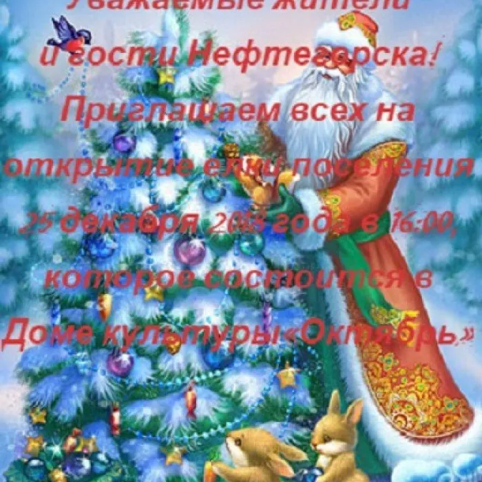 открытие елки поселения